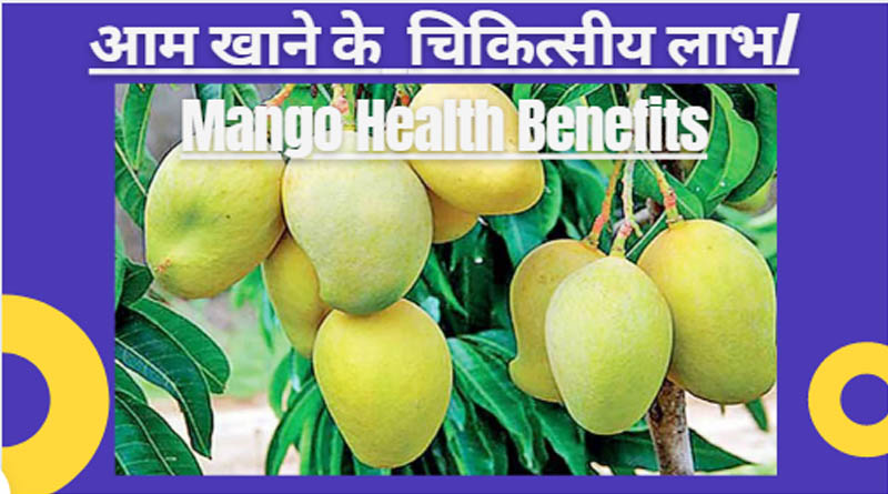 आम खाने के फायदे - Mango Health Benefits ।