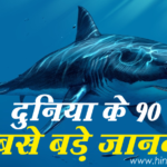 दुनिया के 10 सबसे बड़े जानवर - Top 10 Biggest Animal In The World।