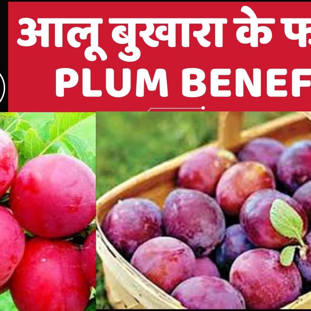 आलू बुखारा के फायदे / Plum Benefits