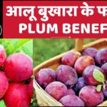 आलू बुखारा के फायदे / Plum Benefits