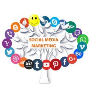 social m media marketing in hindi