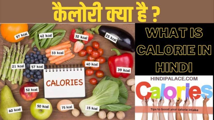 what-is-calorie-in-hindi-hindi-palace-health-hindi