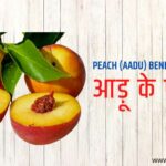 aADU KHANE KE FAYDE-PEACHES BENEFITS IN HINDI