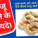 काजू के फायदे । Cashews For Health ।